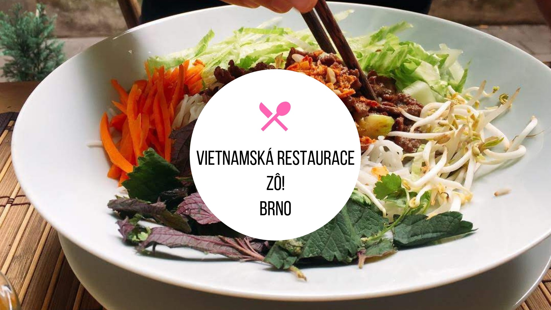 Vietnamská restaurace Zô! - recenze