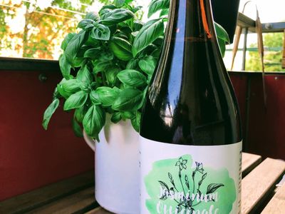 Pivo Jasminum Officinale - American India Pale Ale - 1