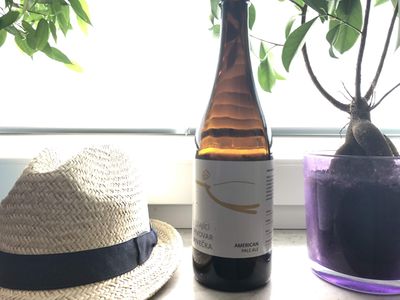 American Pale Ale od létajícího pivovaru Pivečka - Recenze